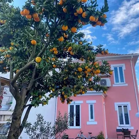 Casa Cor De Rosa De Luxo - بورتو